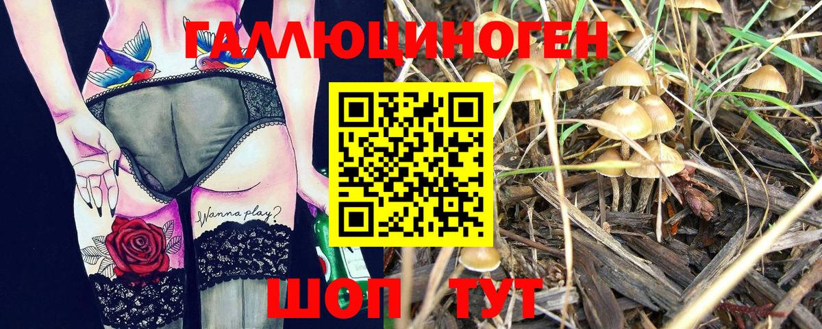 Верхний Уфалей  Галлюциногенные грибы MAGIC MUSHROOMS  Вход с VPN 